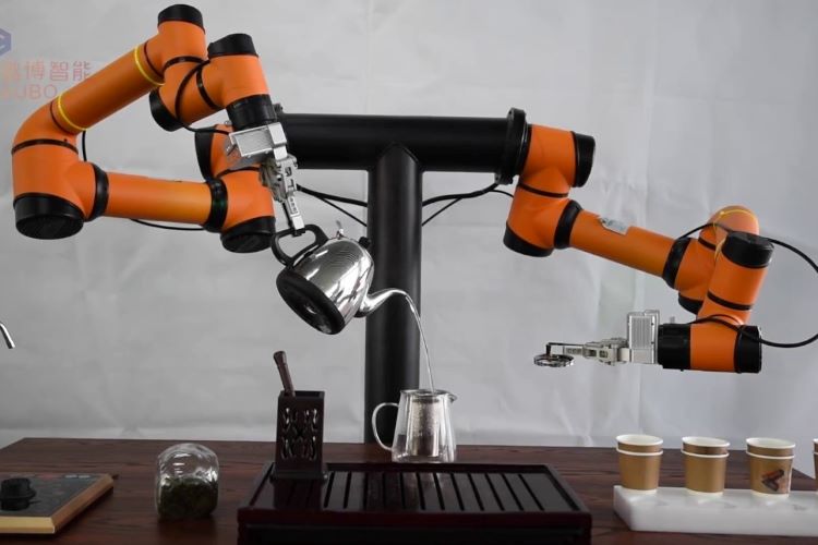 ربات خدمتکار چایساز رباتیک