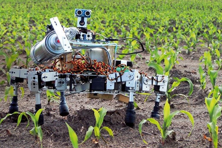 کشاورز رباتی